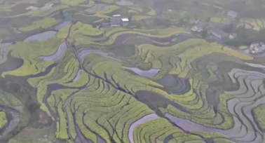 漢陰“鳳堰梯田”入選世界灌溉工程遺產名錄